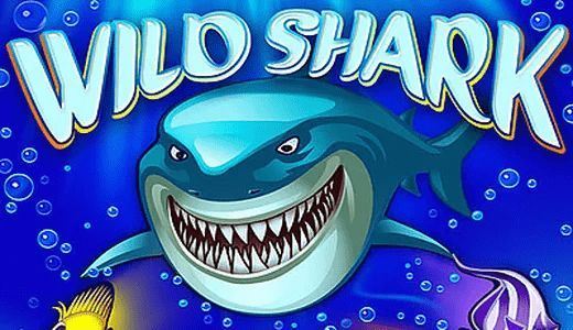 Wild Shark – free demo