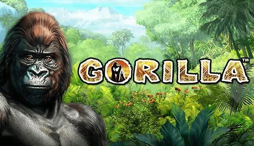 Gorilla – free demo
