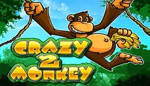 Crazy Monkey 2 – free demo